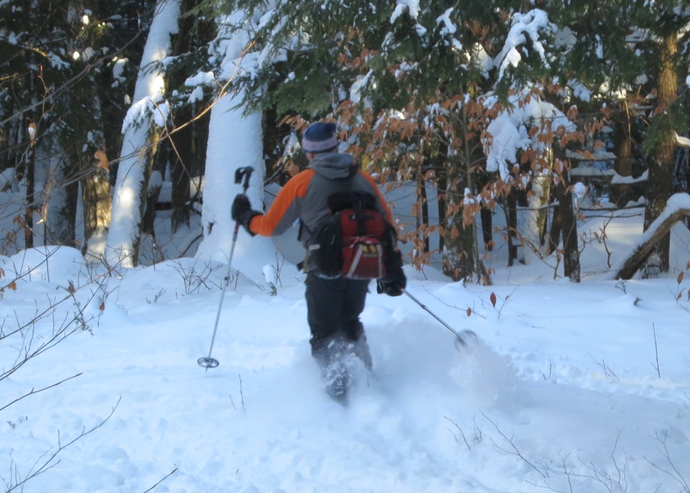 Steve Ovitt skis backcountry trail