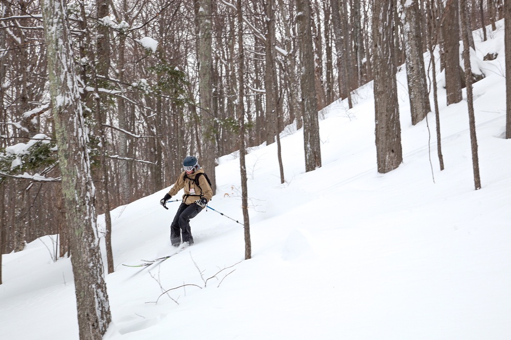 Hunter-Mountain-Trees