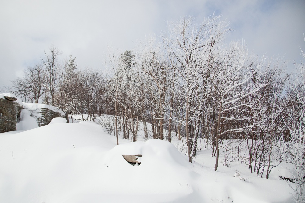 Hunter-Mountain-Valentine's-Day Powder