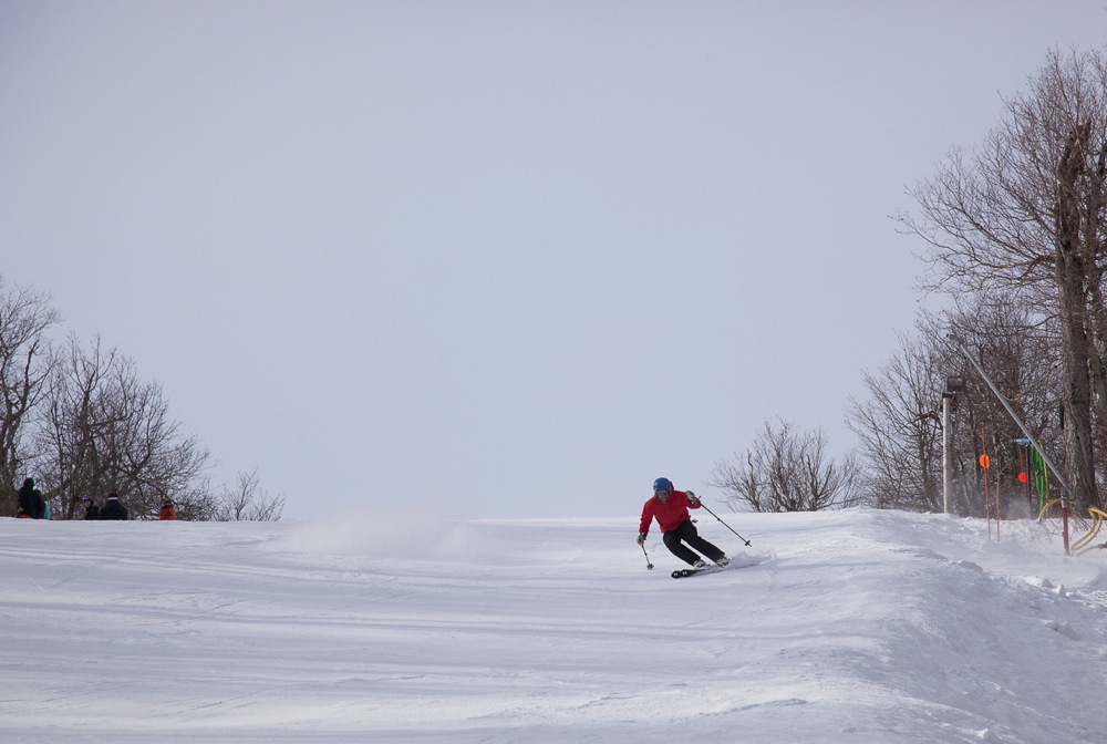 Skier