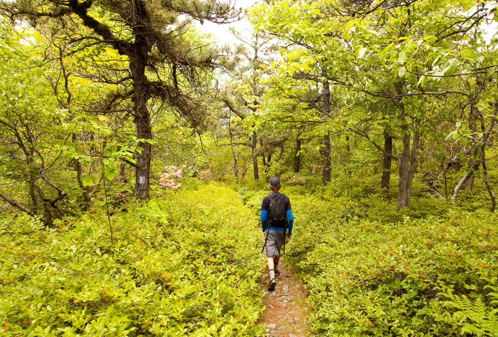 Minnewaska-State-Park-hiking-trail