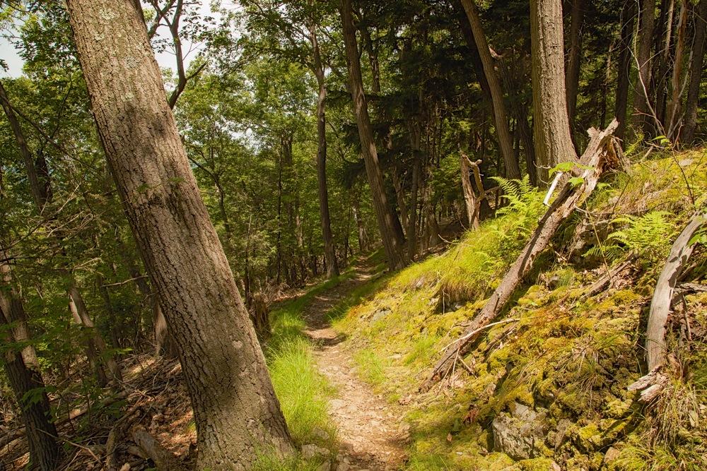 Storm King Mountain trail