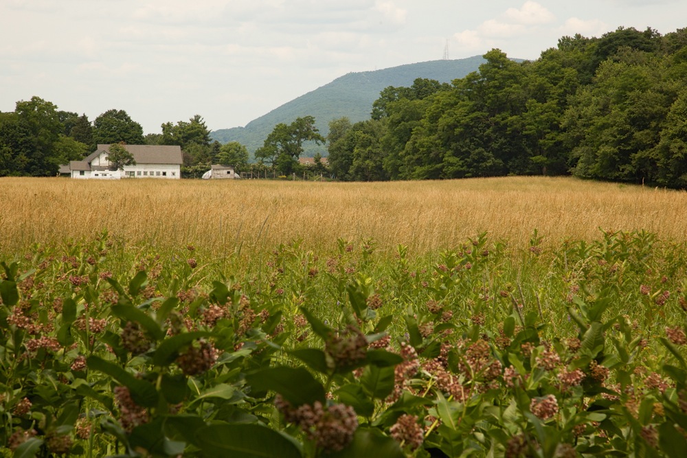 Storm King Mountain NY