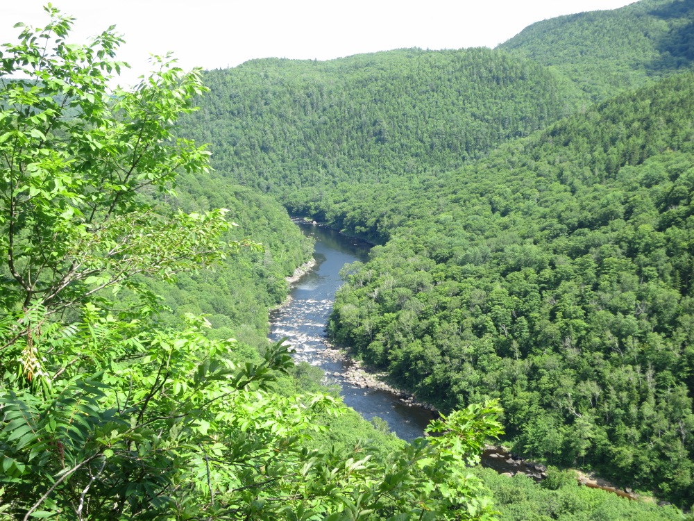 View from Kettle Mountain NY