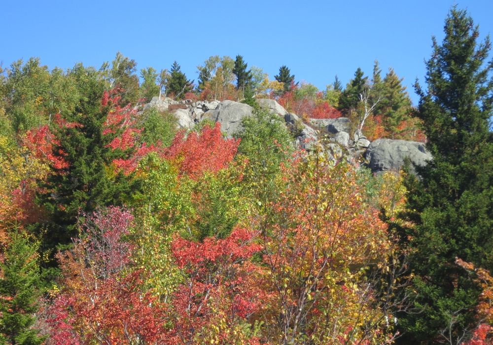 Shanty Cliffs NY