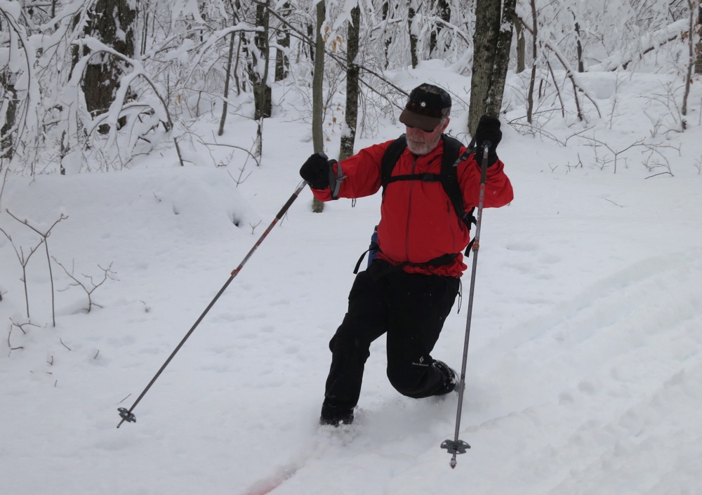 Raymond Brook Trail