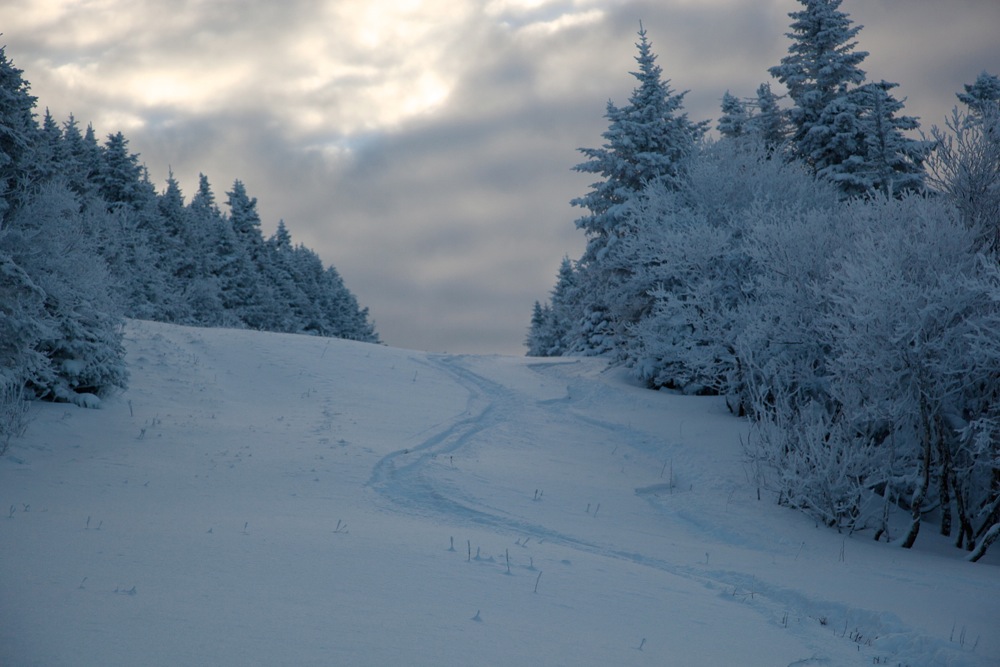 Jay-Peak-Fresh-Tracks