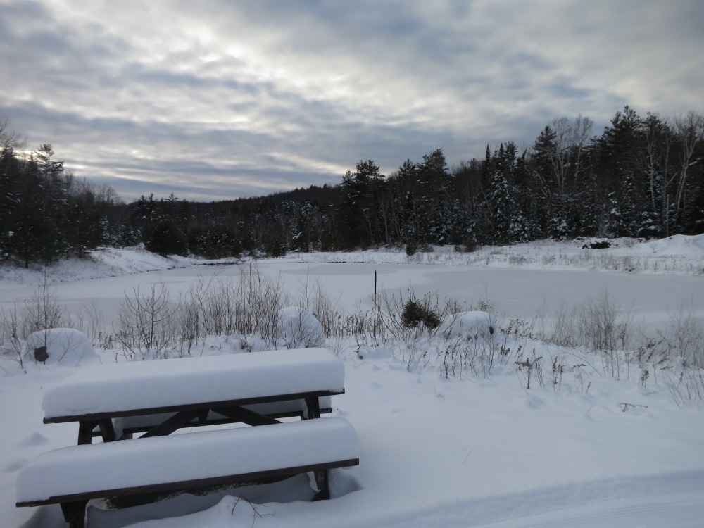 Picnic-Table