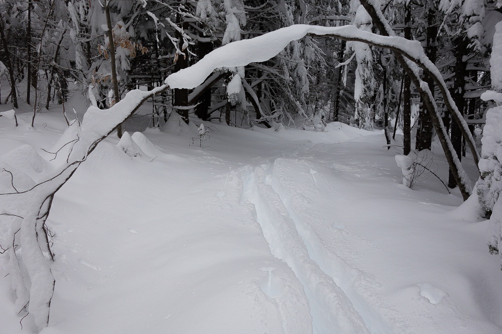 Wright-Peak-Trail