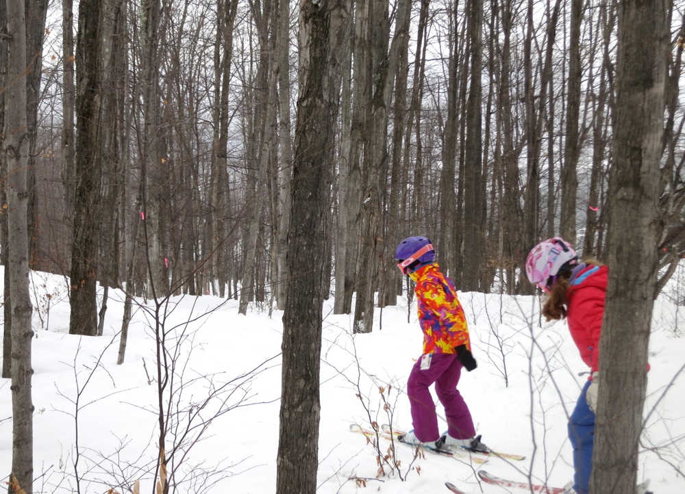 Tree-Skiing