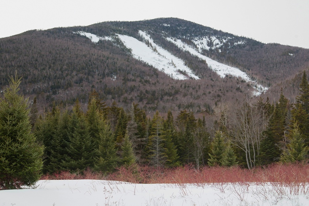 Wright Peak Slide