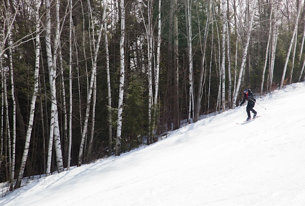 Telemark-Skier