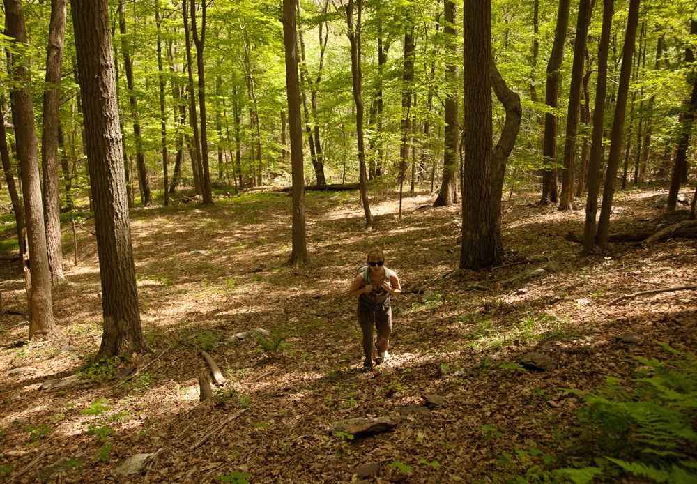 Hiking Wawayanda State Park