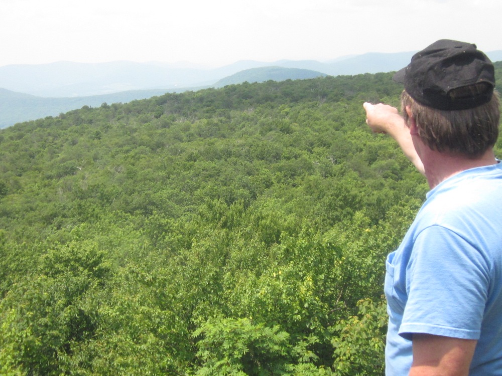 View-towards-Plattekill