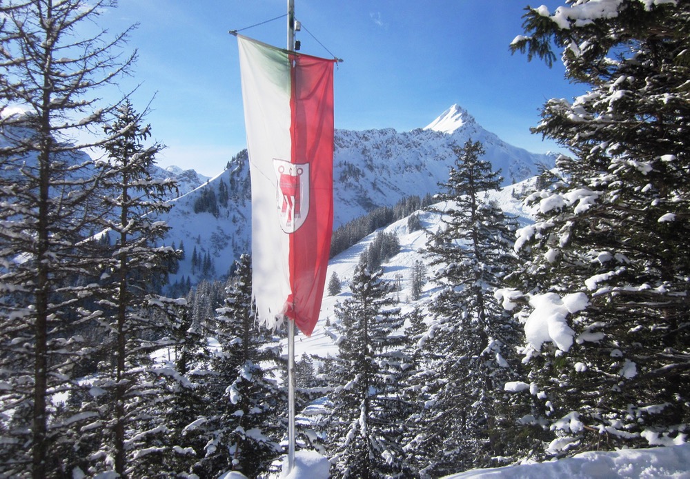 Vorarlberg Austria flag