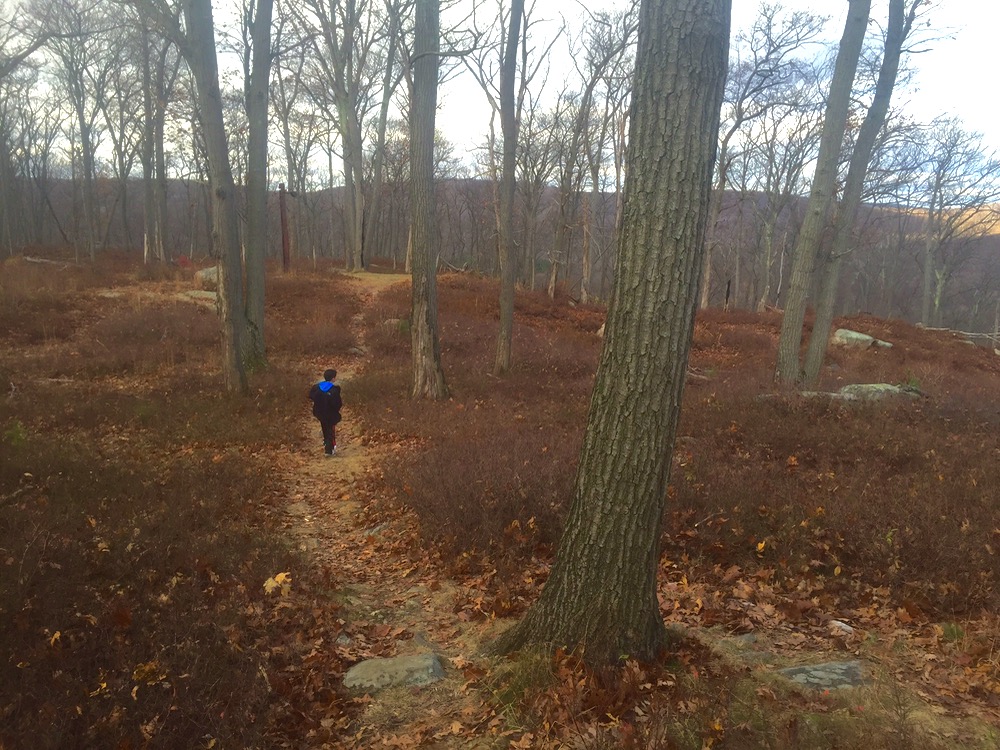 Silvermine Ski Area path