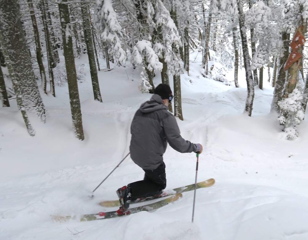 tree-skier