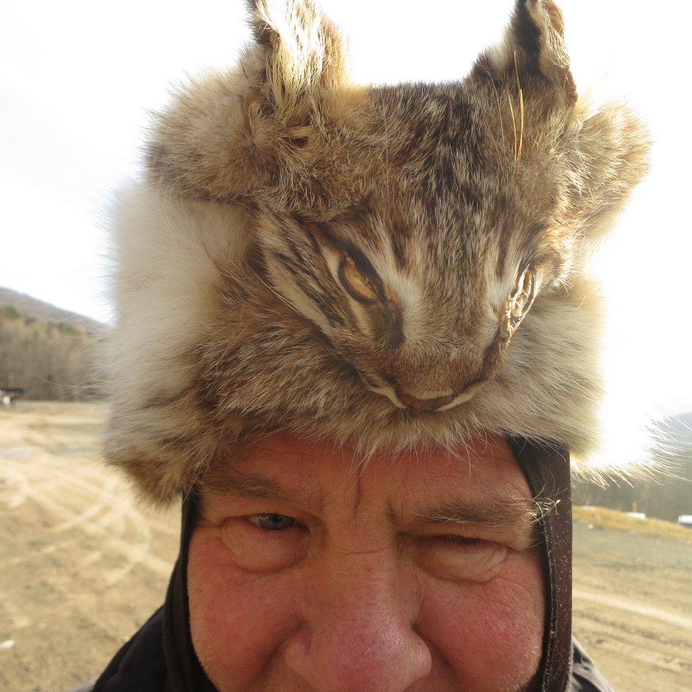 bobcat-hat