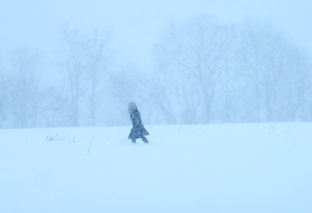 winter storm jonas