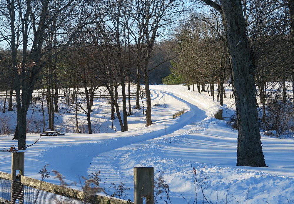 snow-scene