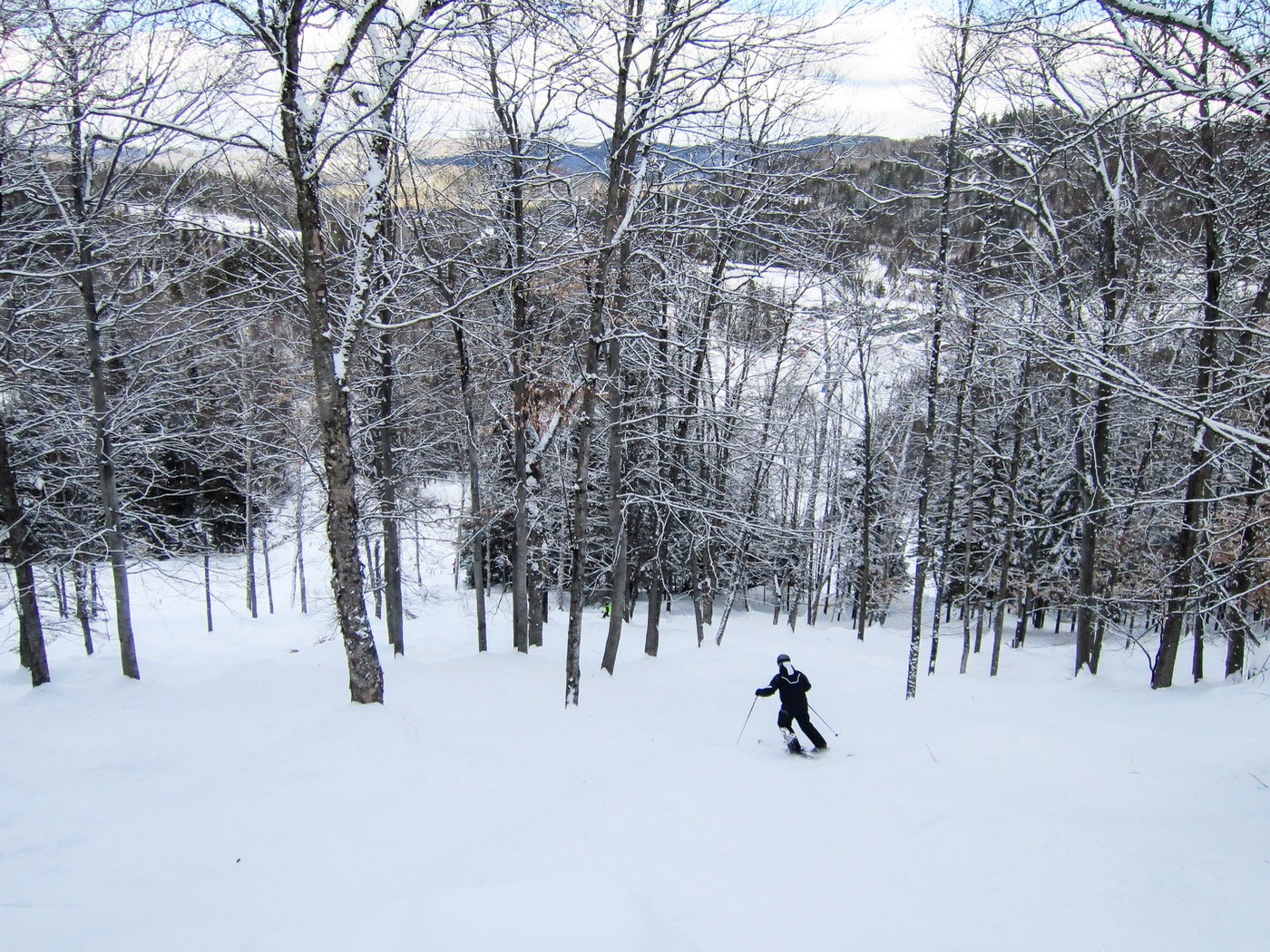 tree skiing at belle neige