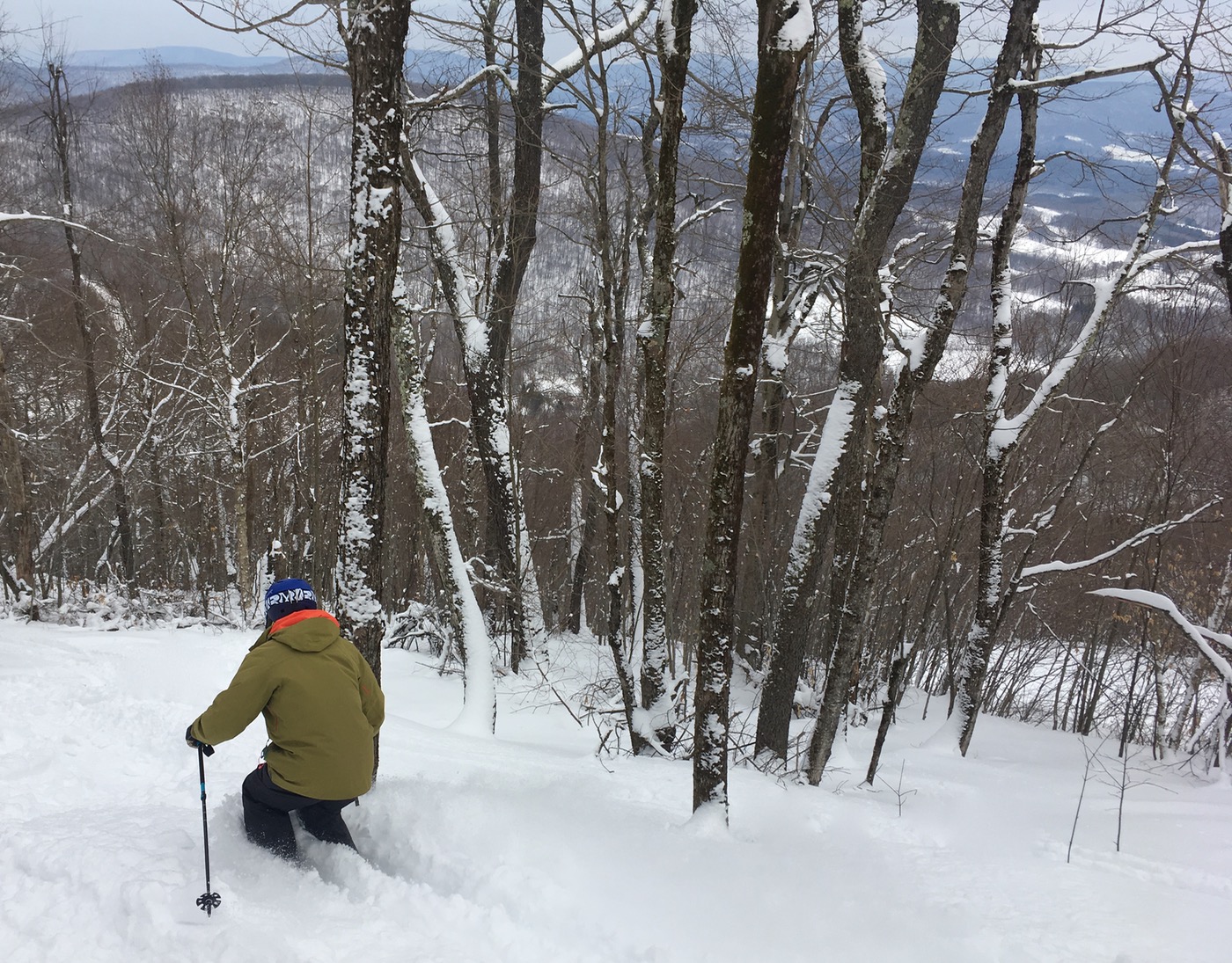 skiing-the-trees-at-plattekill