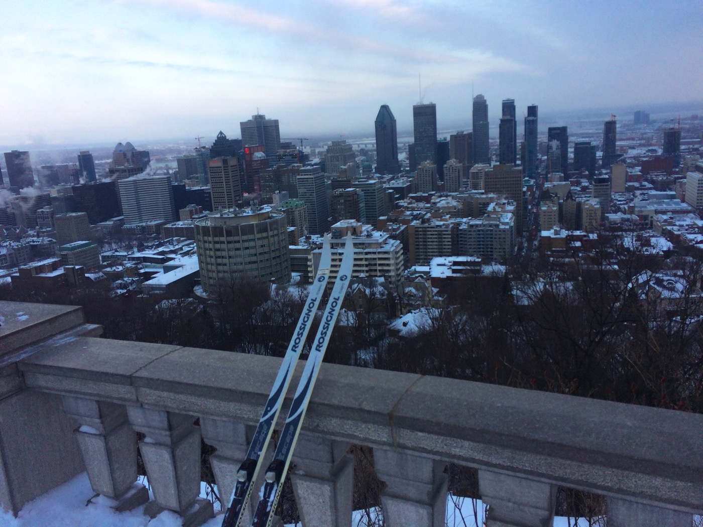 view from the roof