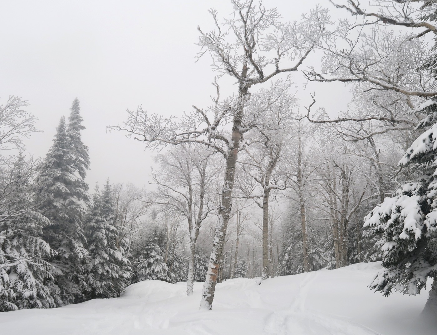 smugglers notch