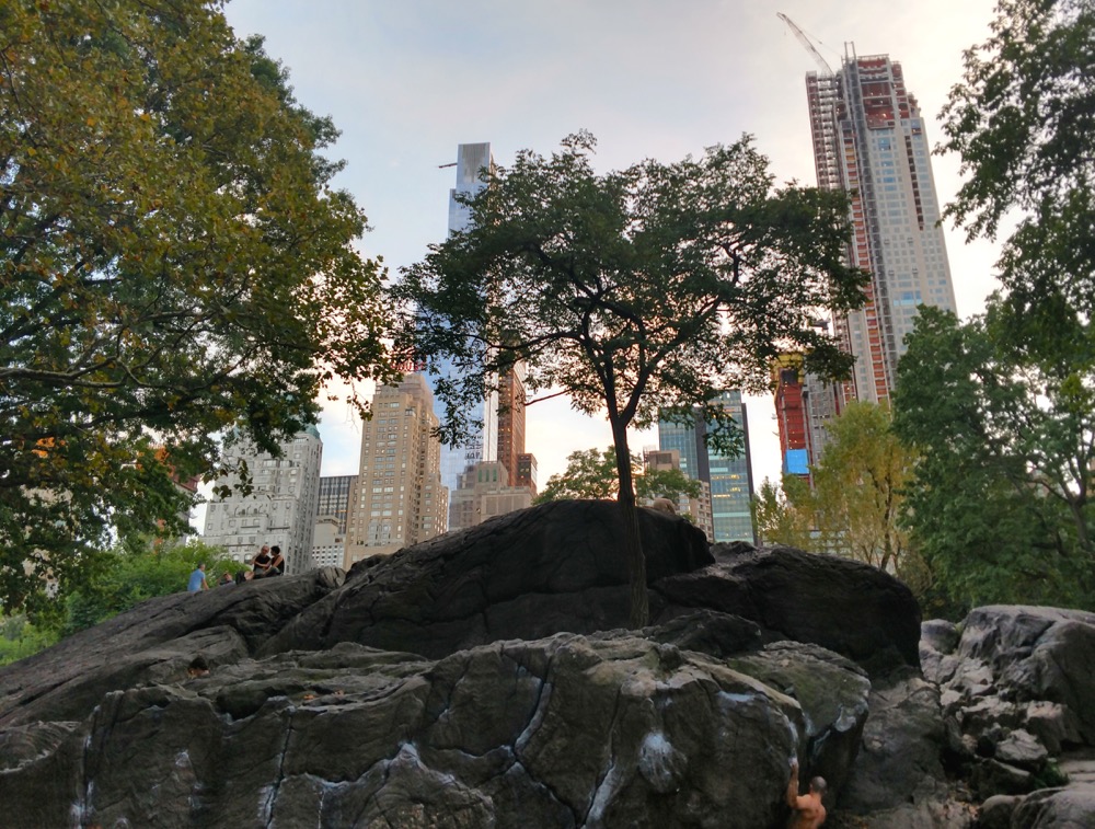 rat rock in central park