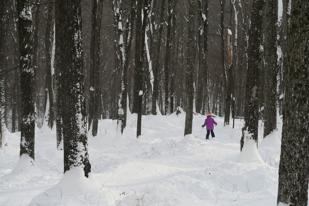 otter slide glades