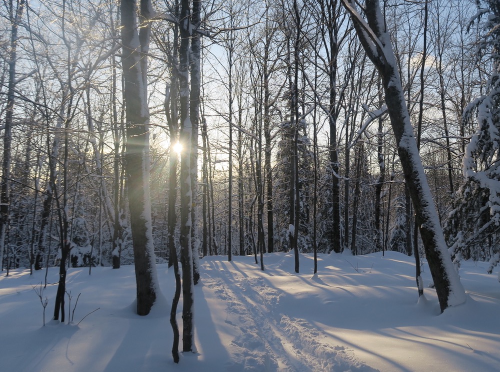 sunrise on the yellow trail