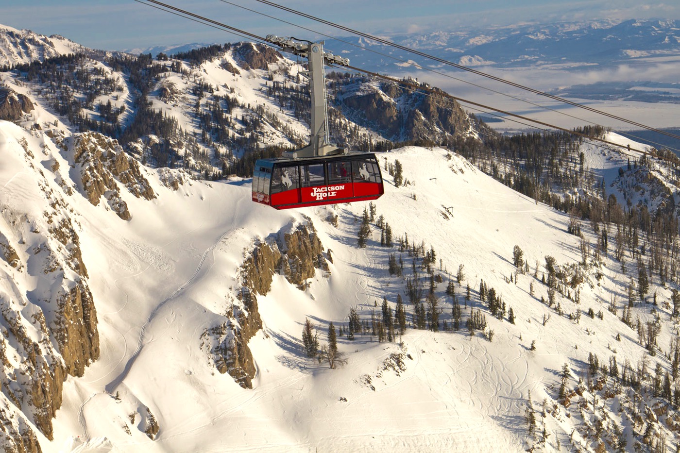 Jackson Hole view