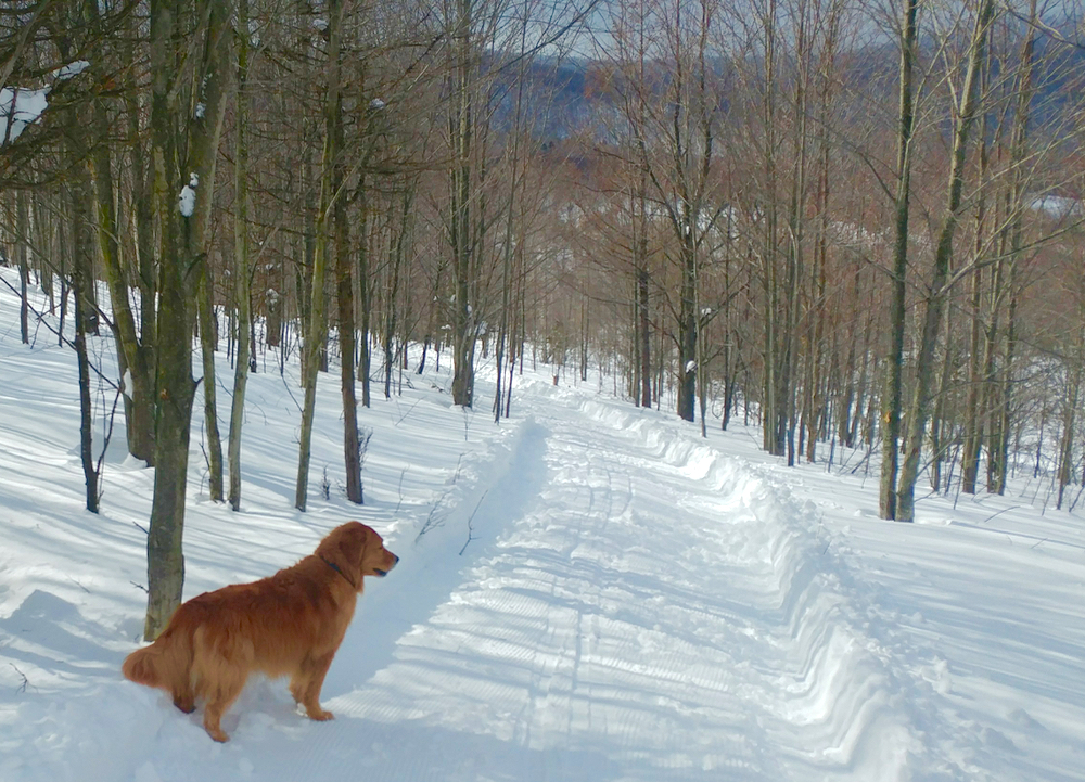 Bearpen trail