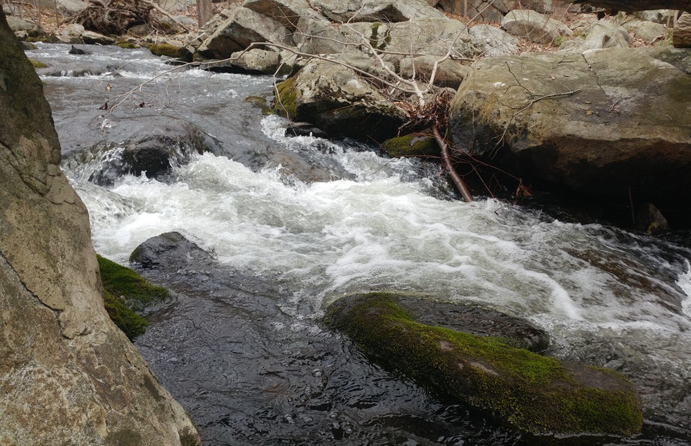 Wildcat Ridge stream