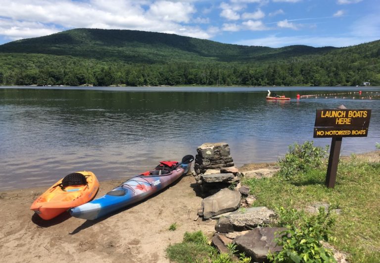 Alligator Snapping Turtle in NY I Saw a Monster • NYSkiBlog