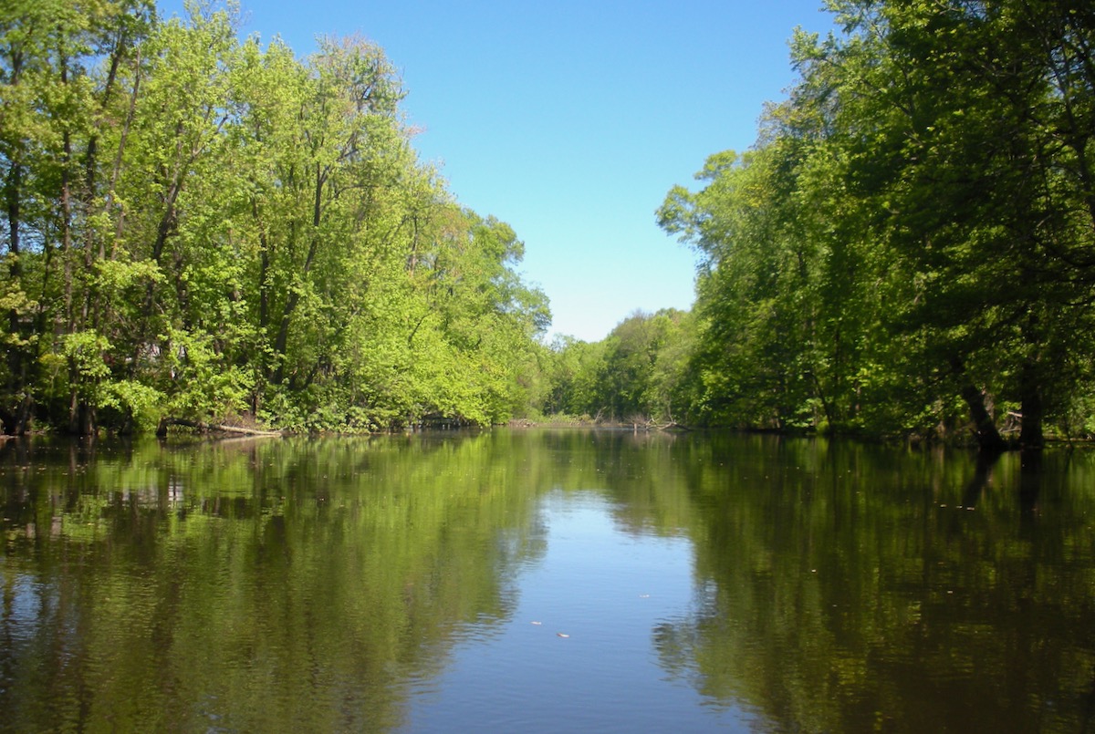 Great Piece Meadows Paddle: Flow State • NYSkiBlog