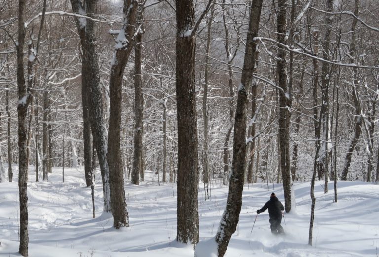 The (Endless) Ski Helmet Debate • NYSkiBlog