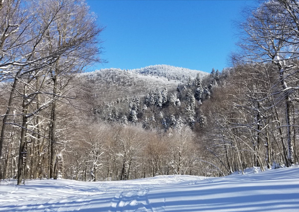 Middlebury Snow Bowl: The Road Not Taken • NYSkiBlog