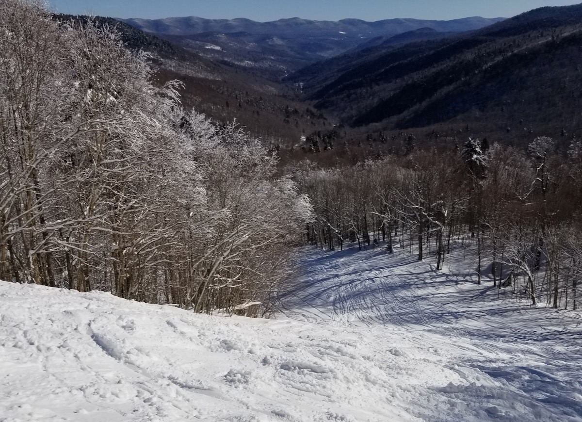 Snow Bowl trail