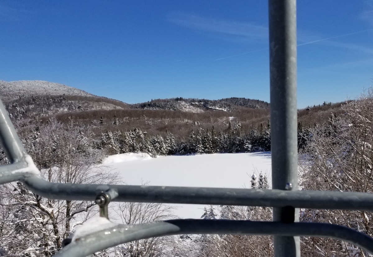 view from the lift