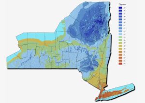 New York State Average Temperature • NYSkiBlog Directory