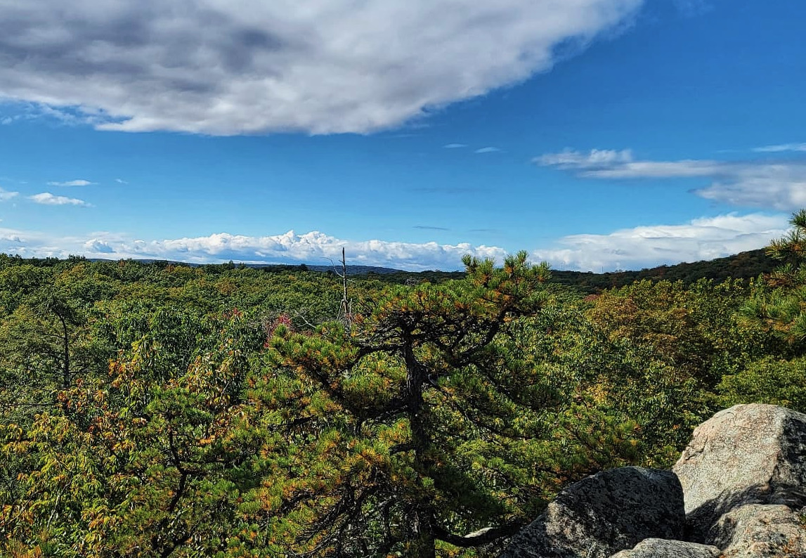 Sterling Forest Firetower Trail