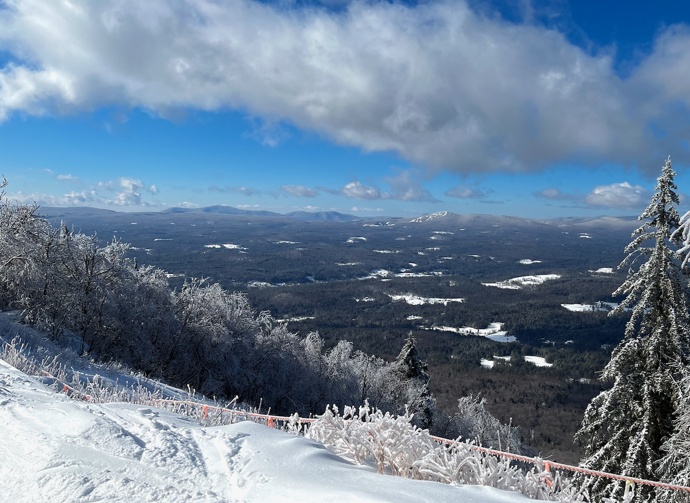 Insulated coffee mug  Magic Mountain Ski Area