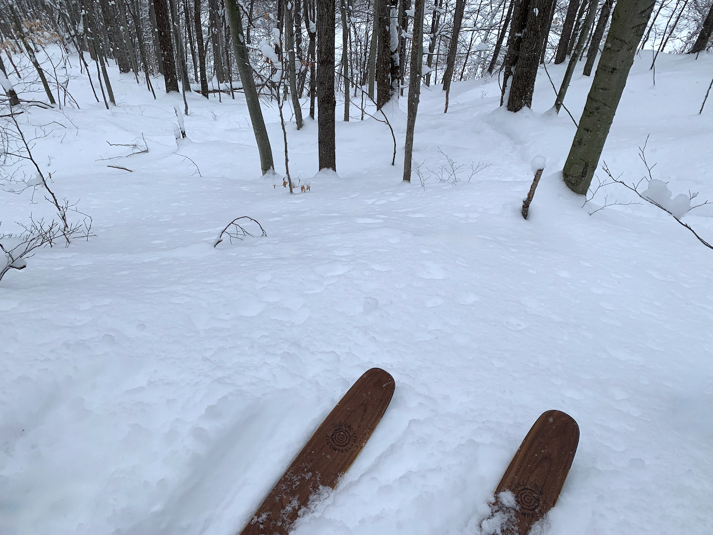 Old Growth Skis