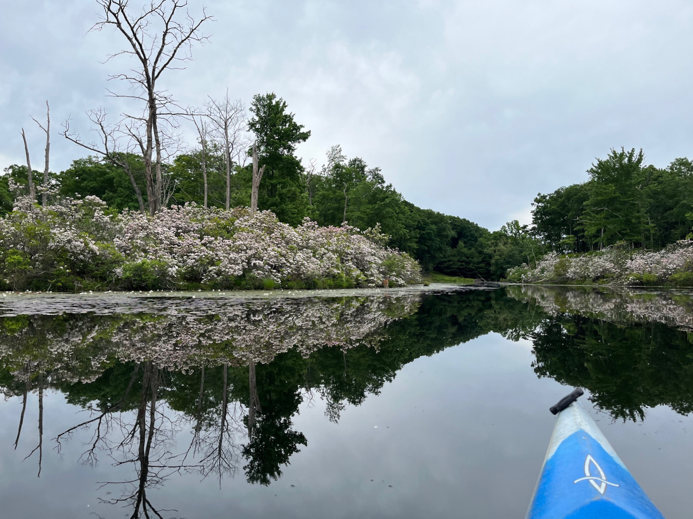 Lake Skannatati Paddle • NYSkiBlog