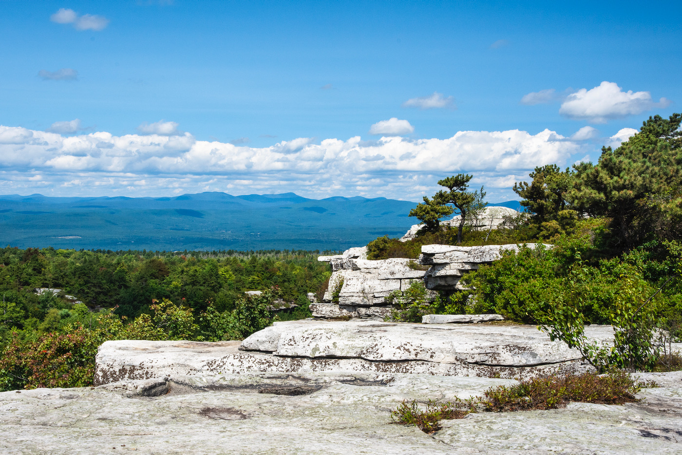 39 Best Catskills Hiking Trails  A Guide to Our Favorite Upstate NY Hikes