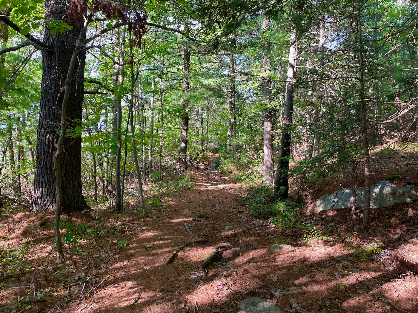 Old Minnewaska Trail