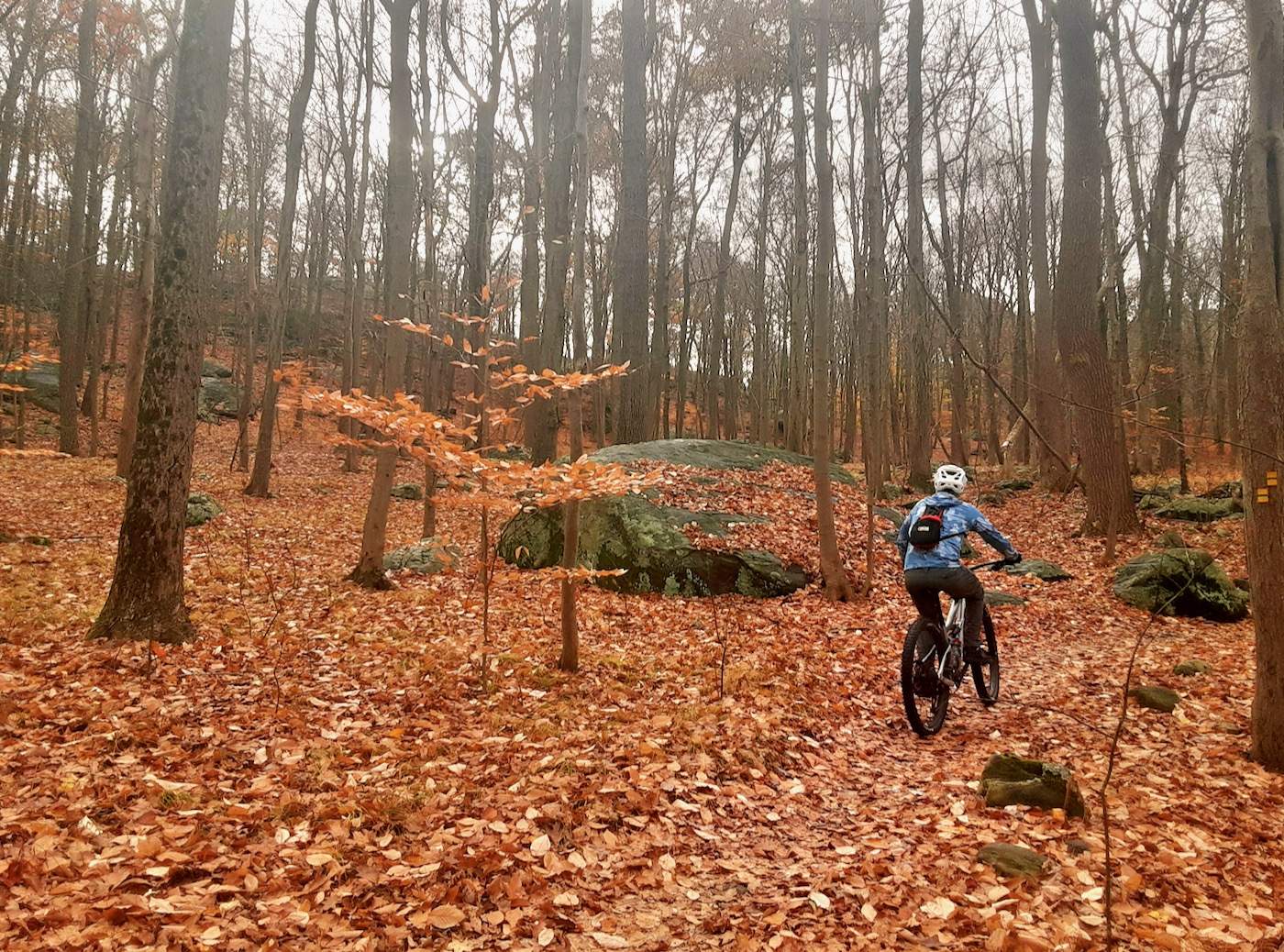 Stephens state park online mountain biking