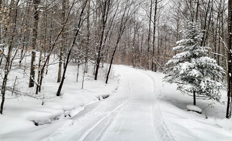 The Backside of Big Tupper • NYSkiBlog