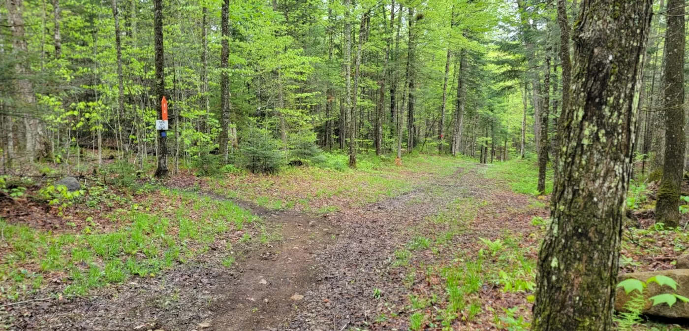 intersection of 3 trails